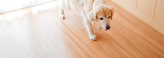 ワンラブフロアⅡ