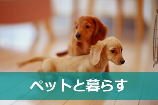 ペットと暮らす