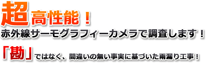 超高性能！赤外線サーモグラフィーカメラで調査します！