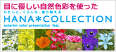 HANA COLLECTION